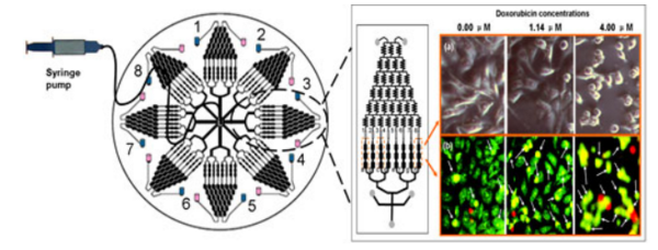 1458282355113504.png 20160318142156.png