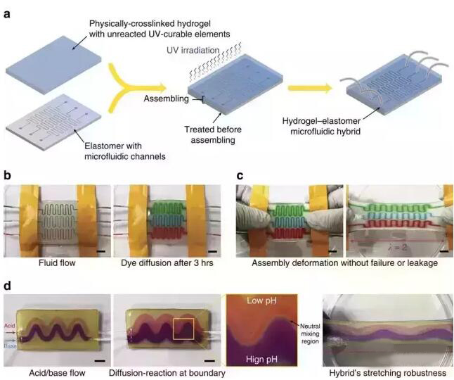 1467593812900655.jpg QQ截图20160704085349.jpg