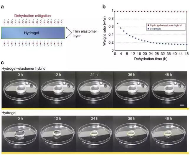 1467593984320371.jpg QQ截图20160704085837.jpg