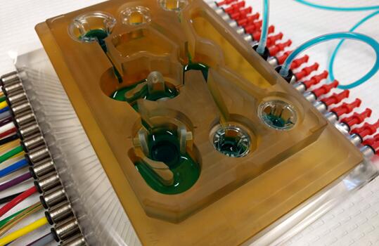 麻省理工学院研制出的拥有7种“器官”的人体芯片