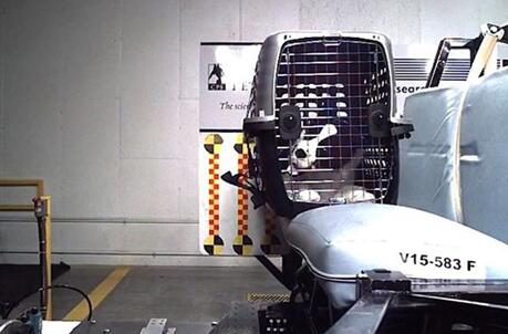 制药公司认为人造器官将终结动物实验