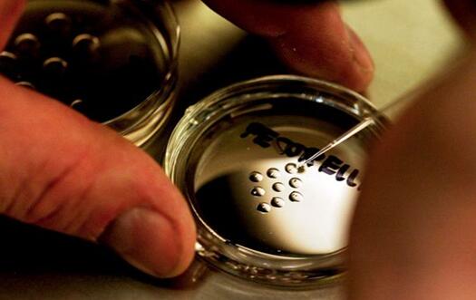 培养皿上的人类胚胎