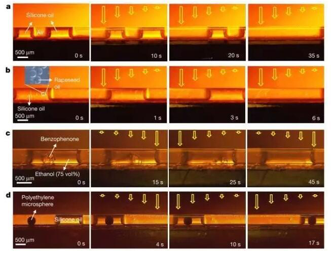 1473383892126956.jpg QQ截图20160909090321.jpg