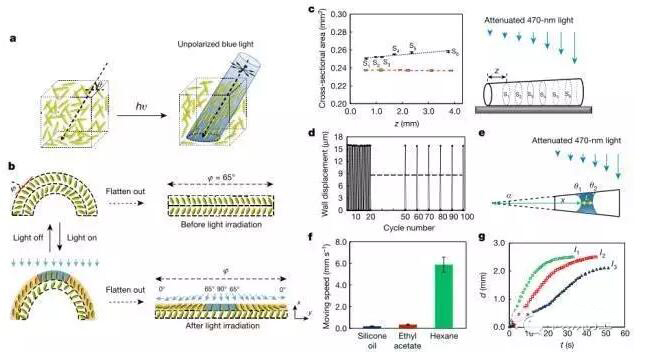 1473383912719706.jpg QQ截图20160909090415.jpg