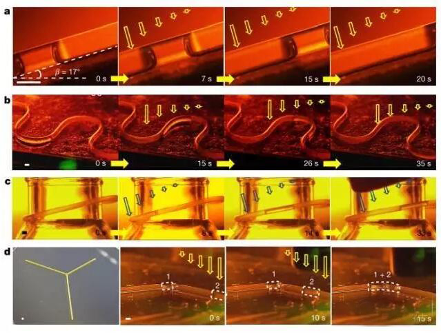 1473383941479804.jpg QQ截图20160909090423.jpg