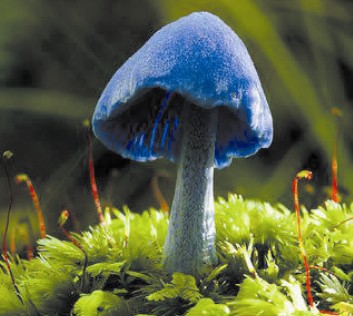 微流控芯片|微流控芯片批量加工