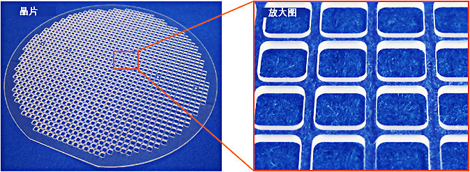 1477530848797378.jpg 芯片键合