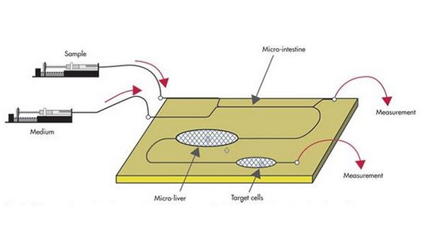1478141759188479.jpg 微流控芯片键合
