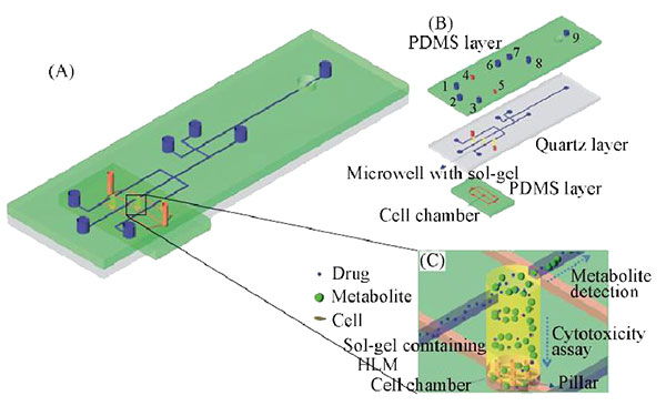 微流控芯片实验室