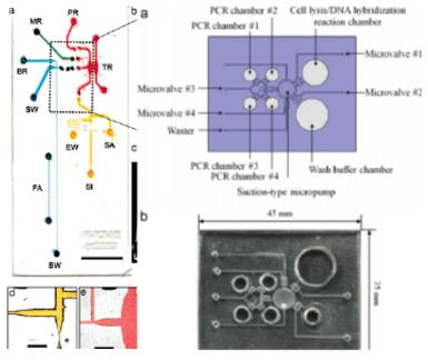 微流控芯片|微流控芯片批量加工