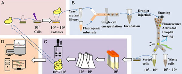 1482306927734251.jpg 微流控