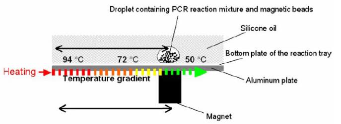 1487554343131806.jpg QQ截图20170220093159.jpg