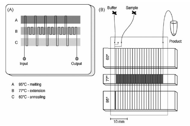 1487554399229144.jpg QQ截图20170220093257.jpg