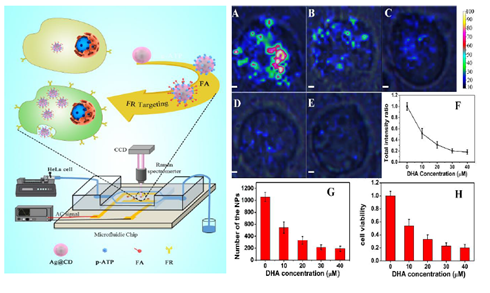 1489456140416332.png 34885.png