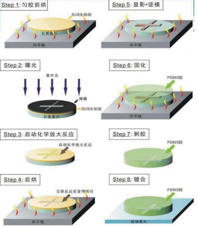 SU 8光刻胶加工模具浇铸PDMS芯片示意图