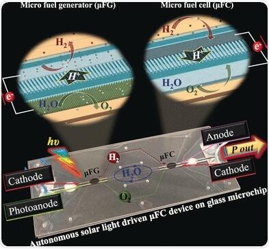 1501122259553775.jpg 20170620112949345.jpg