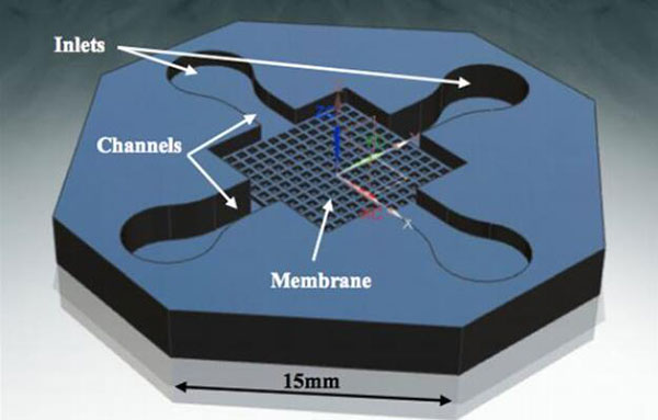 3D打印陶瓷微体系推动微流控芯片和人体器官芯片应用