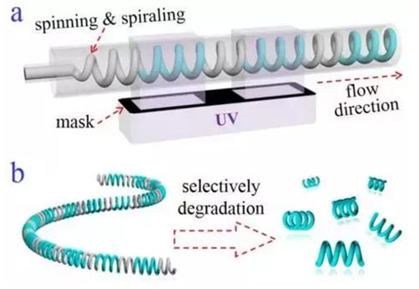 微流控光刻仿生螺旋微型马达