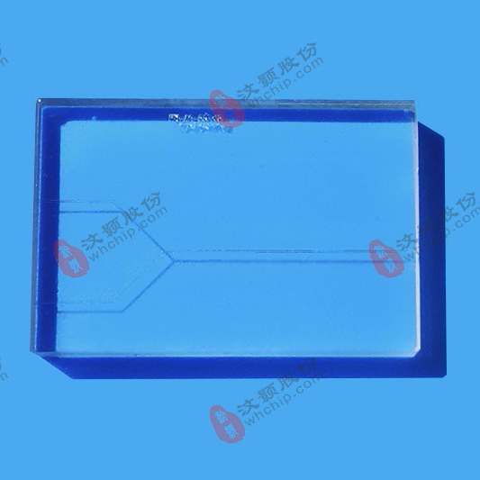 汶颢微流控芯片技术公司生产的芯片