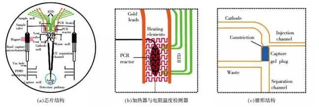 DNA芯片-全集成芯片原理结构