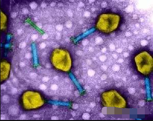 微流控芯片用于细胞筛选