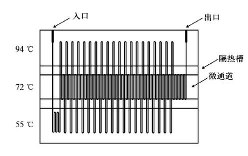 微流控芯片的应用领域