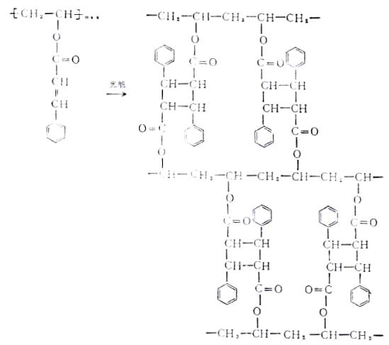 KPR胶的光化学交联反应式