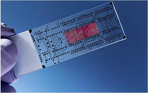 微流控技术在生物医学领域的应用