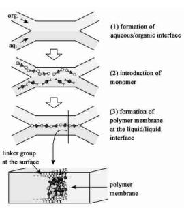 微流控芯片层流技术