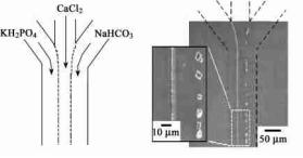 微流控芯片层流技术