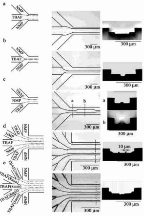 微流控层流在生命医学方面的应用