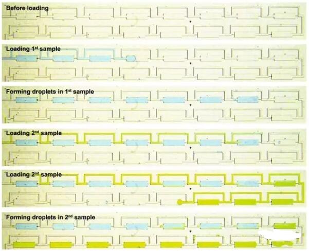 精准癌症治疗新突破，24小时出癌细胞药敏结果