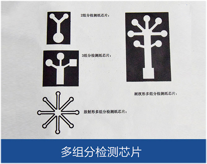 多组分检测芯片