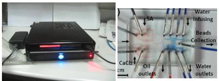 新型数字化阀控微流平台及其应用在药物开发和抗药筛选方面的研究 新型数字化阀控微流平台及其应用在药物开发和抗药筛选方面的研究