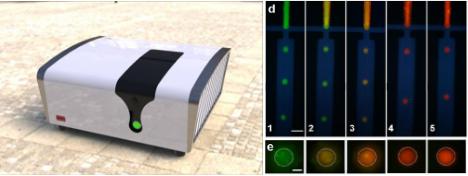 在线芯片生物大分子荧光毛细管电泳与PCR检测联用 在线芯片生物大分子荧光毛细管电泳与PCR检测联用