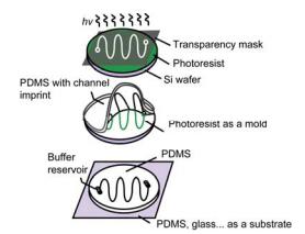 基于软蚀刻技术的芯片快速复制法