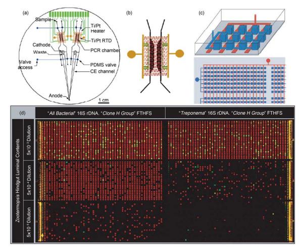 集成微流控芯片用于聚合酶链式反应(PCR)应用实例 (a) 多通道 RT-PCR-CE 芯片结构示意图, 在 1 块 100 mm 直径的芯片上集成有阻抗加热元件、加热电极引出条、Ti/Pt 感应温度传感器、PCR 反应腔室、电泳分离通道和 PDMS 气动微阀; (b) 反应腔室区域放大图[26]; (c) 数位式集成化 PCR 微流控芯片示意图, 深色, 反应微腔室; 浅色, 微阀; (d) 数位式集成 PCR 反应结果图