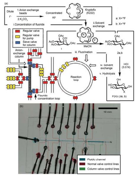 集成微流控芯片用于化学合成的研究 (a) 规模集成式芯片用于操控液体在芯片中合成 2-18 氟-2-脱氧葡萄糖芯片核心结构与过程示意图[39]; (b) 用于合成寡聚核苷酸分子的集成式 PFPE 微流控芯片实物图