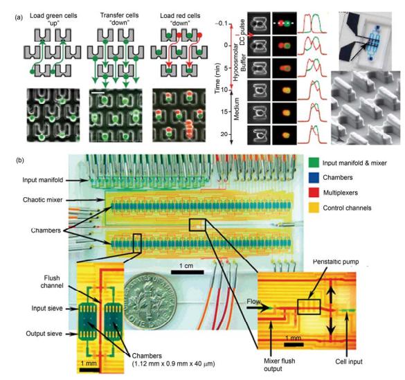 集成微流控芯片对细胞的操控与全自动培养 (a) 利用芯片的加工对 A 和 B 细胞配对精确控制, 并在芯片上进行高效率细胞融合[17]; (b) 全集成微流控芯片对细胞的全自动化连续培养