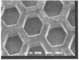 高温灰化法处理后的 DNA 模具电镜照片 Fig. 2 SEM picture of DNA mold using hot ciner ation 高温灰化法处理后的 DNA 模具电镜照片 Fig. 2 SEM picture of DNA mold using hot ciner ation