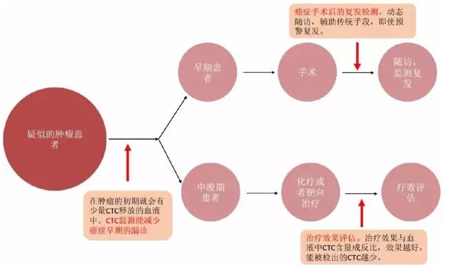 CTC在癌症治疗中的应用场景