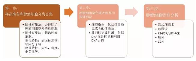 图4.CTC的检测流程图