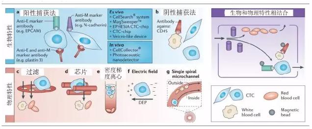 CTC的富集方法