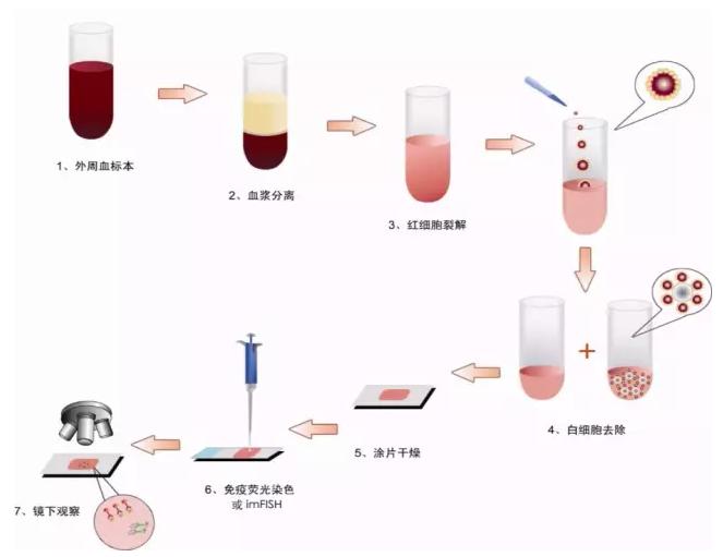 阴性富集法—Cyttel