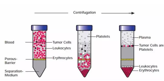密度梯度离心法