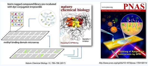 表观遗传研究的新蛋白微阵列技术 表观遗传研究的新蛋白微阵列技术