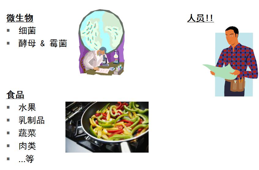 4.ATP的主要来源