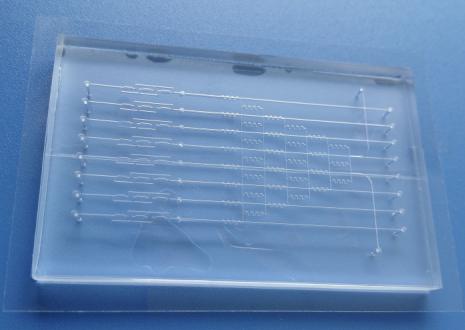 汶颢微流控PDMS芯片 汶颢微流控PDMS芯片