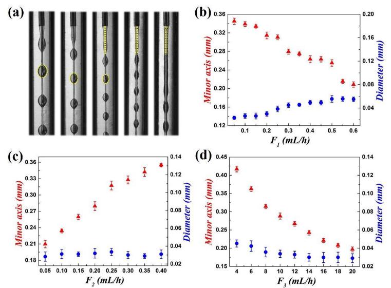 大孔微载体的可控制备