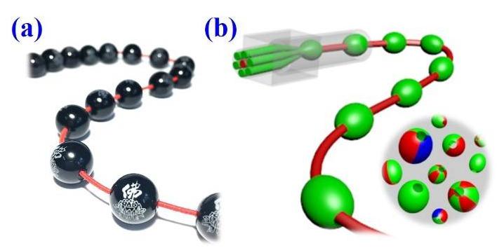 毛细管阵列微流控技术制备大孔微载体